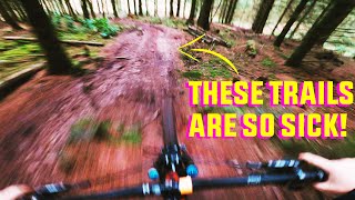 THE BEST TRAILS IN SOMERSET?!