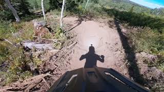 Inspector Lee DH MTB Trail POV- Powder...