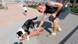 THIS DOG CAN RIDE A SKATEBOARD?!