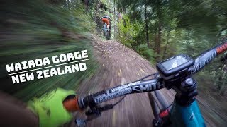 Wairoa Gorge 2018 | New Zealand Shenanigans