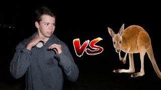 WE TRIED TO FIGHT A KANGAROO