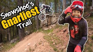 Will We Survive Hare Ball? • Snowshoe Bike...