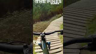 SAMBA WALL RIDES The Pines Cha cha cha...