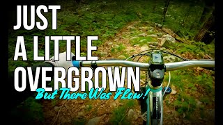 Getting Back To Mountain Biking pt2