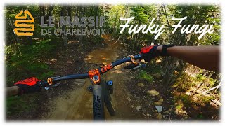Ma nouvelle préféré au Massif!