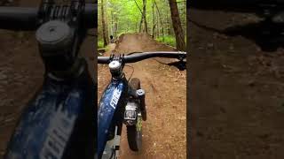 Massive Dirt Jumps Found in The Woods! 
