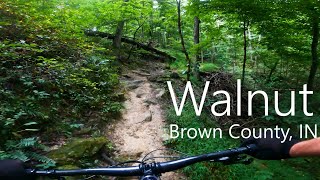 Walnut Trail from Hesitation Point to Limekiln