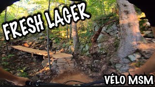 Vélo MSM Lager