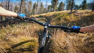 Is this DH worth all the PEDALING?! // Curly's...