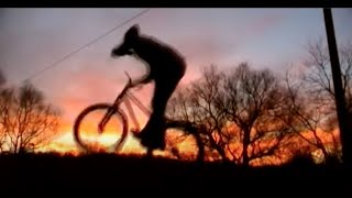 Balázs Leskó | 2011