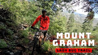 Mount Graham | Lady Bug Trail | Best Camping...