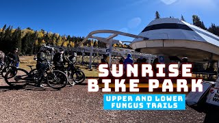 Upper and Lower Fungus | Sunrise Bike Park |...