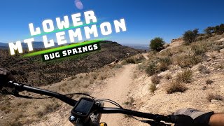 Shuttling Mount Lemmon | Part 1 of 3 | Bugs...