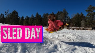 Family Sled Day