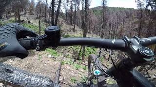 Near miss with a log | Post Fire | Mount...