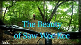 Fun with Friends at Saw Wee Kee: Roller...