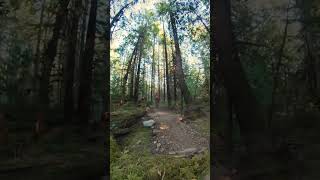 Rocks and jumps are the best rides  #shorts...