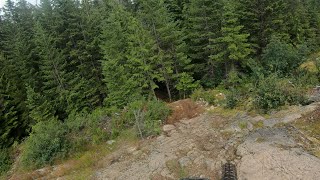 Three Birds - West Sproatt Whistler