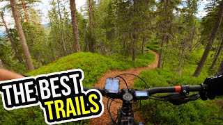 The BEST TRAILS In Trysil - THAT MOST MISS OUT ON!