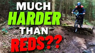 MTB Newbie Attempts  Hamsterley Forest Black Route