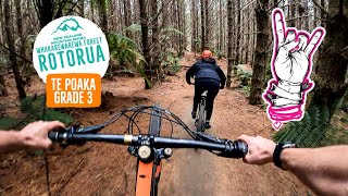 Te Poaka - Trail preview Mud Maidens Enduro...