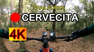 La Cervecita 4k