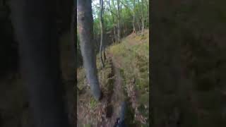 Hometrails
