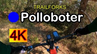 POLLOBOTER