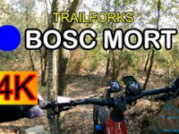 BOSC MORT