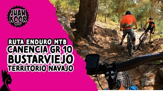 PINAR DE BUSTARVIEJO  | JUANKOOR | 4K