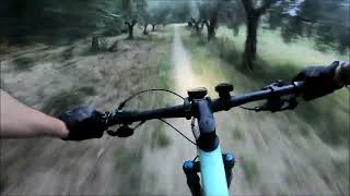 Ulivi Trail - Bertinoro