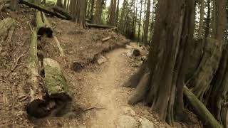 Climbing El Dingo Blanco ❱ Eagle Mountain...