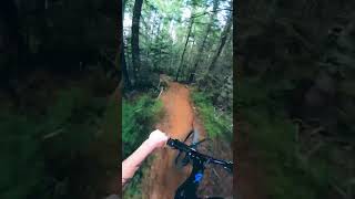 Weirdest crash ever!
