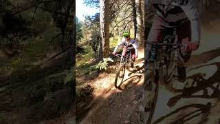 Jurassic Bike  Como mola el sendero #mtb...