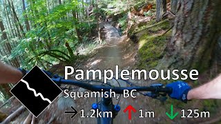 Pamplemousse - Alice Lake - Squamish, BC