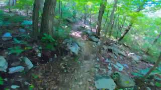 Puzzler Trail at Massanutten Western Slope