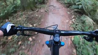 Mountain Biking Lacamas Lake, Camas Washington...