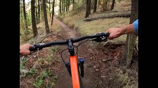 Wildcat Trail Jace L