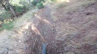Bosc Mort E-bike