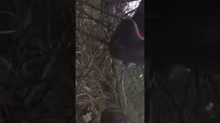Mountain Biking crash during race