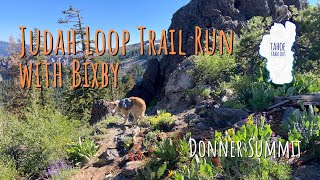 A Dog Hike/Trail Run on Judah Loop