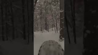 Crazy Bike Crash into TREES on fat bike in the...