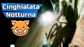 Secchiate di adrenalina in notturna sul trail...