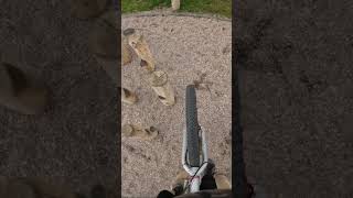 Pillars Of Eternity bike challenge