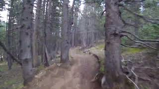 Ski Apache, Hill Billy DH Run