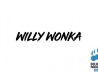 Willy Wonka @DOLOMITI PAGANELLA BIKE