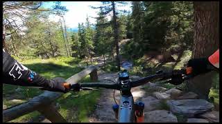 Brogles trail highlights
