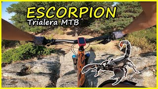 ESCORPIÓN ​ Trialera MTB con mucho picante...