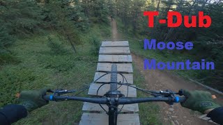 T-Dub (Moose Mountain AB)