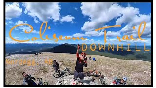 Coliseum Mountain - Coliseum Trail ◇ DH